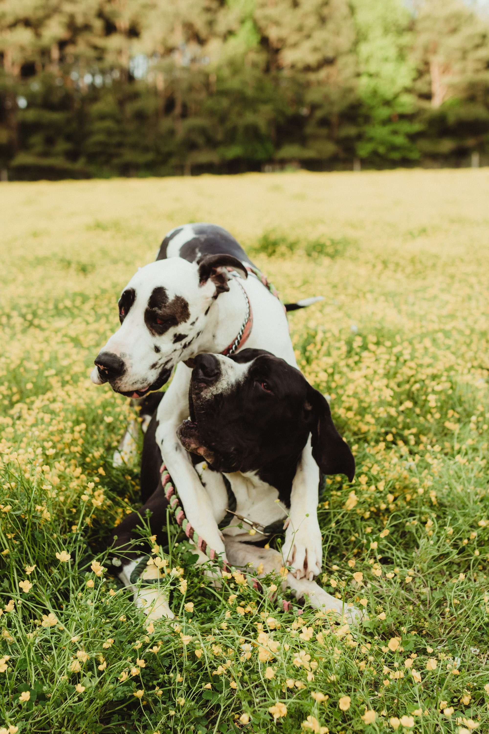 Wayland hugging Cyrus
